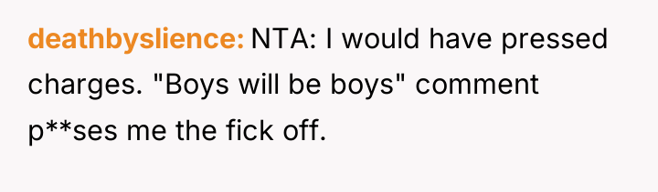 deathbyslience NTA: I would have pressed charges. "Boys will be...