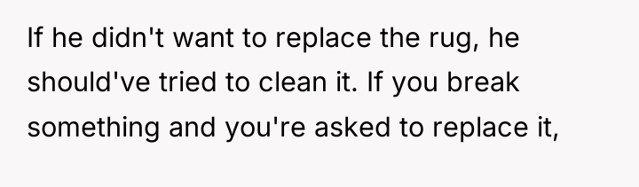 If he didn't want to replace the rug, he should've...