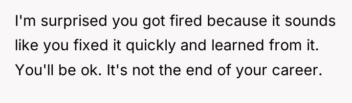 I'm surprised you got fired because it sounds like you...