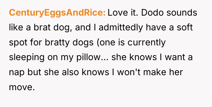 CenturyEggsAndRice Love it. Dodo sounds like a brat dog, and...