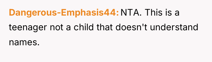 Dangerous-Emphasis44 NTA. This is a teenager not a child that...