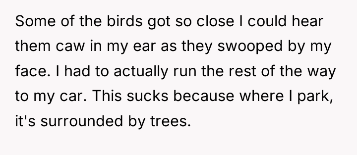 Some of the birds got so close I could hear...
