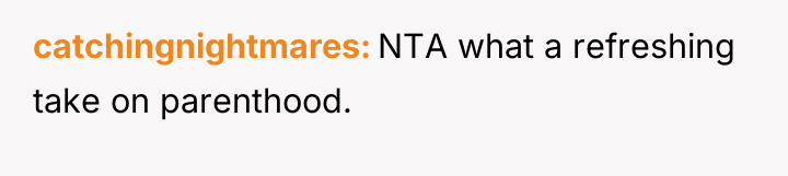 catchingnightmares NTA what a refreshing take on parenthood.