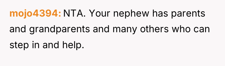 mojo4394 NTA. Your nephew has parents and grandparents and many...