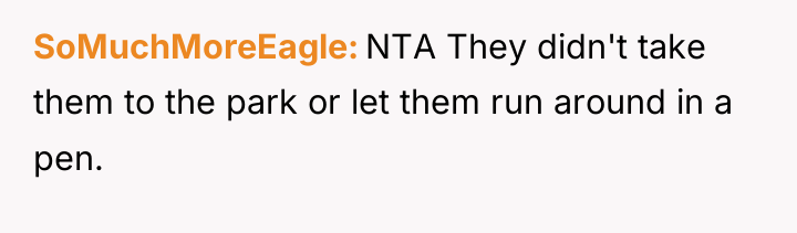 SoMuchMoreEagle NTA They didn't take them to the park or...