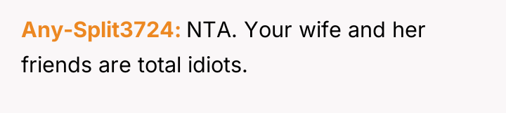 Any-Split3724 NTA. Your wife and her friends are total idiots.