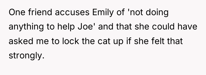 One friend accuses Emily of 'not doing anything to help...