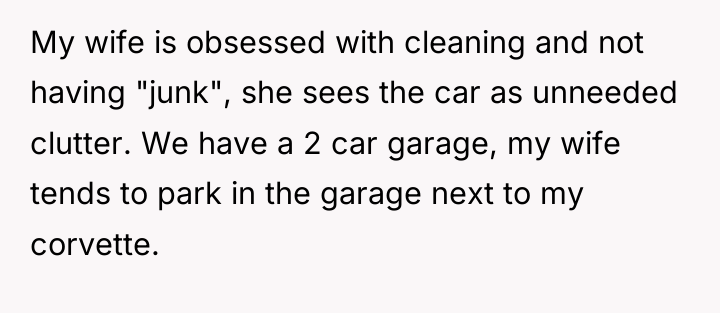 My wife is obsessed with cleaning and not having "junk",...