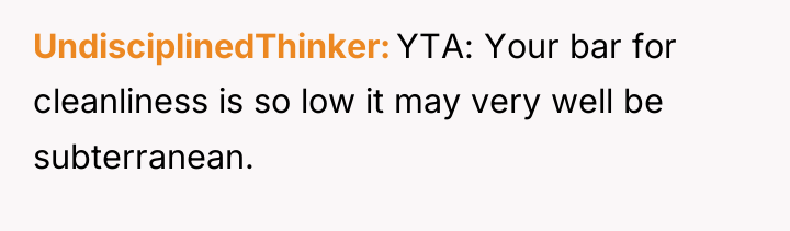 UndisciplinedThinker YTA: Your bar for cleanliness is so low it...