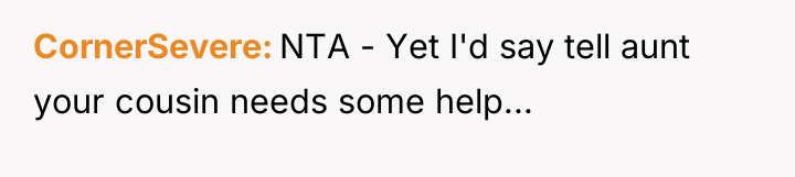CornerSevere NTA - Yet I'd say tell aunt your cousin...