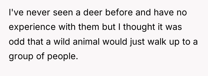 I've never seen a deer before and have no experience...