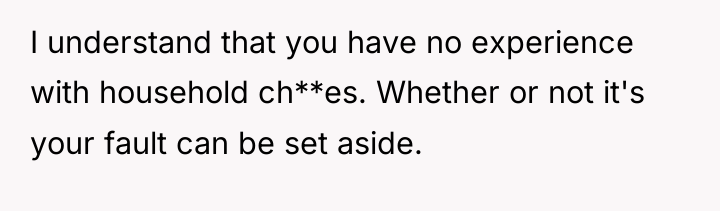 I understand that you have no experience with household ch**es....