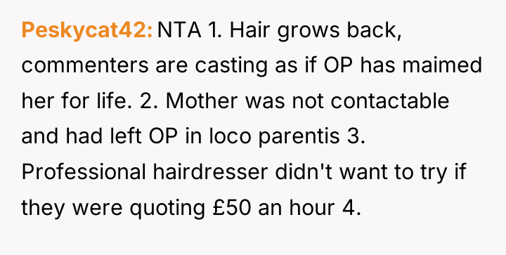 Peskycat42 NTA 1. Hair grows back, commenters are casting as...