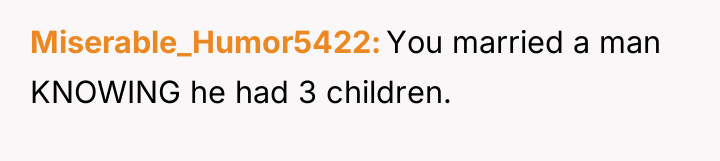 Miserable_Humor5422 You married a man KNOWING he had 3 children.