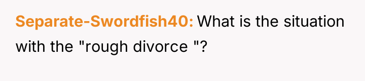 Separate-Swordfish40 What is the situation with the "rough divorce "?