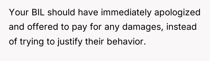 Your BIL should have immediately apologized and offered to pay...