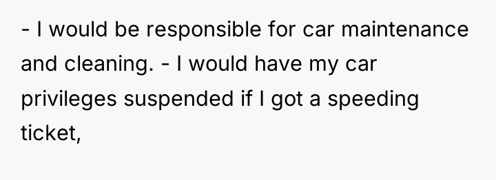 - I would be responsible for car maintenance and cleaning....
