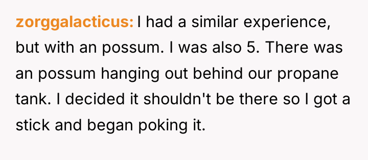 zorggalacticus I had a similar experience, but with an possum....
