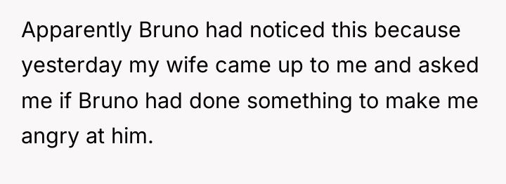 Apparently Bruno had noticed this because yesterday my wife came...