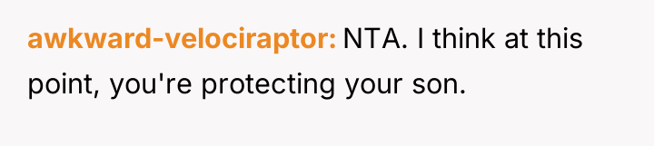 awkward-velociraptor NTA. I think at this point, you're protecting your...