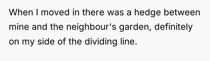When I moved in there was a hedge between mine...