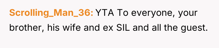 Scrolling_Man_36 YTA To everyone, your brother, his wife and ex...