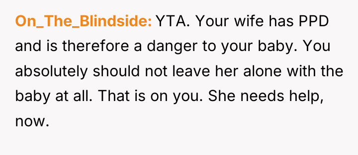 On_The_Blindside YTA. Your wife has PPD and is therefore a...