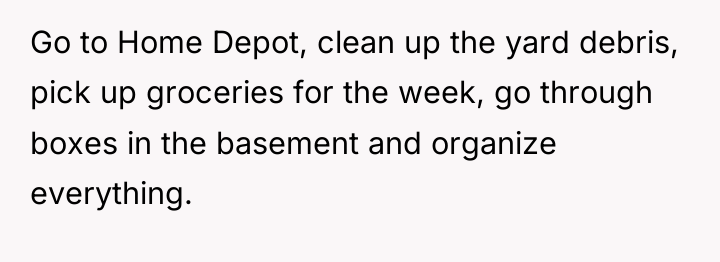 Go to Home Depot, clean up the yard debris, pick...