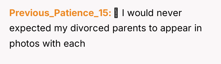 Previous_Patience_15 I would never expected my divorced parents to...