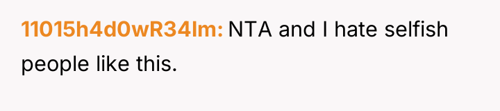 11015h4d0wR34lm NTA and I hate selfish people like this.