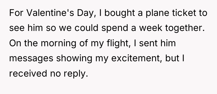 For Valentine's Day, I bought a plane ticket to see...