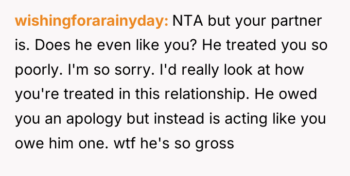 wishingforarainyday NTA but your partner is. Does he even like...