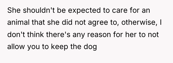 She shouldn't be expected to care for an animal that...
