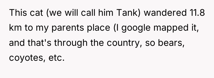 This cat (we will call him Tank) wandered 11.8 km...