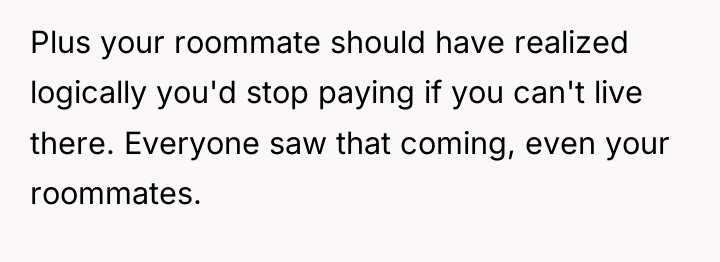 Plus your roommate should have realized logically you'd stop paying...