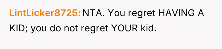 LintLicker8725 NTA. You regret HAVING A KID; you do not...