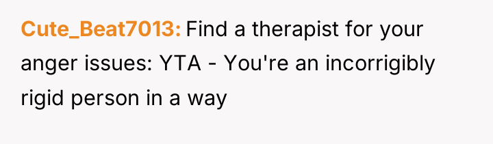 Cute_Beat7013 Find a therapist for your anger issues: YTA -...