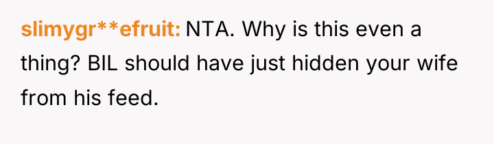 slimygr**efruit NTA. Why is this even a thing? BIL should...