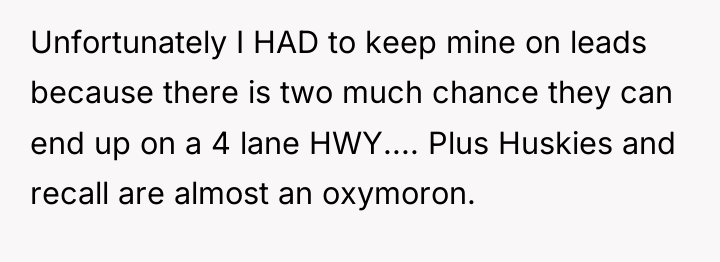 Unfortunately I HAD to keep mine on leads because there...