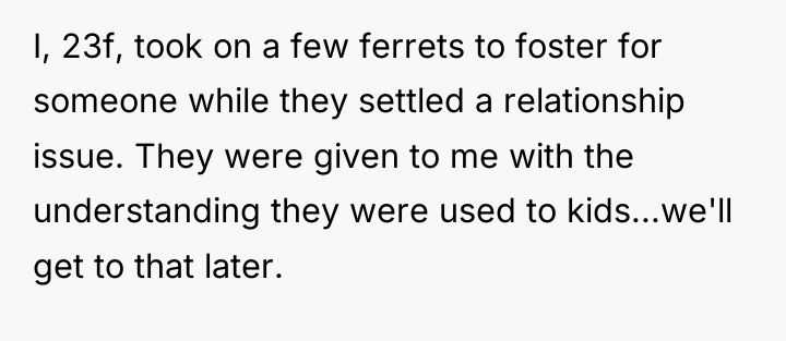 I, 23f, took on a few ferrets to foster for...