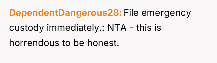 DependentDangerous28 File emergency custody immediately.: NTA - this is horrendous...