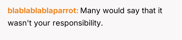 blablablablaparrot Many would say that it wasn't your responsibility.