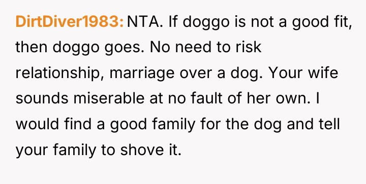 DirtDiver1983 NTA. If doggo is not a good fit, then...