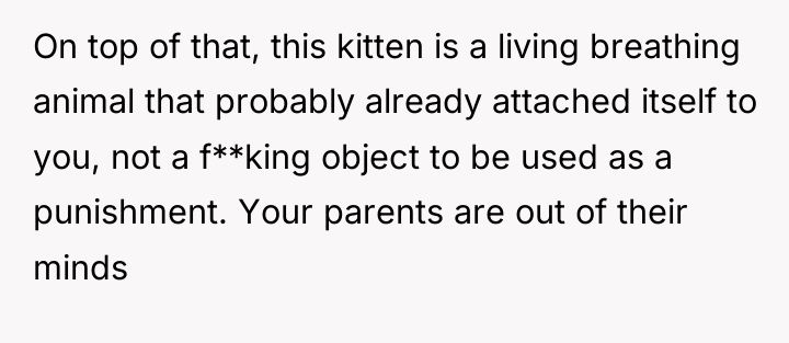 On top of that, this kitten is a living breathing...