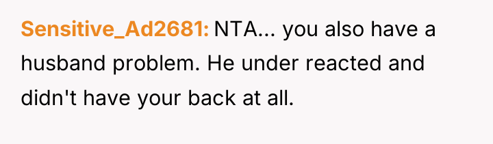 Sensitive_Ad2681 NTA... you also have a husband problem. He under...