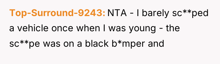 Top-Surround-9243 NTA - I barely sc**ped a vehicle once when...