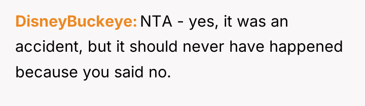 DisneyBuckeye NTA - yes, it was an accident, but it...