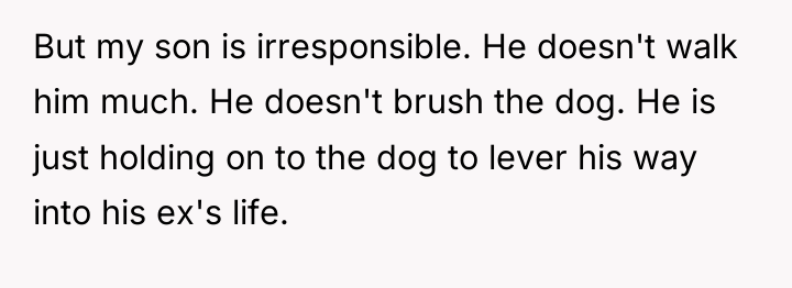 But my son is irresponsible. He doesn't walk him much....