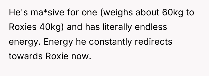 He's ma*sive for one (weighs about 60kg to Roxies 40kg)...