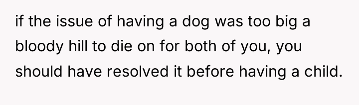 if the issue of having a dog was too big...